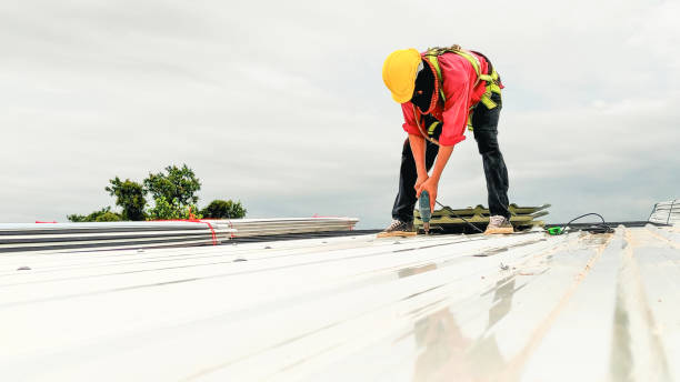 Best Commercial Roofing Services  in Iowa City, IA