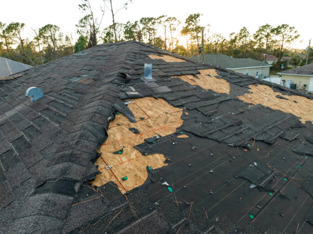 Best Gutter Installation and Repair  in Iowa City, IA